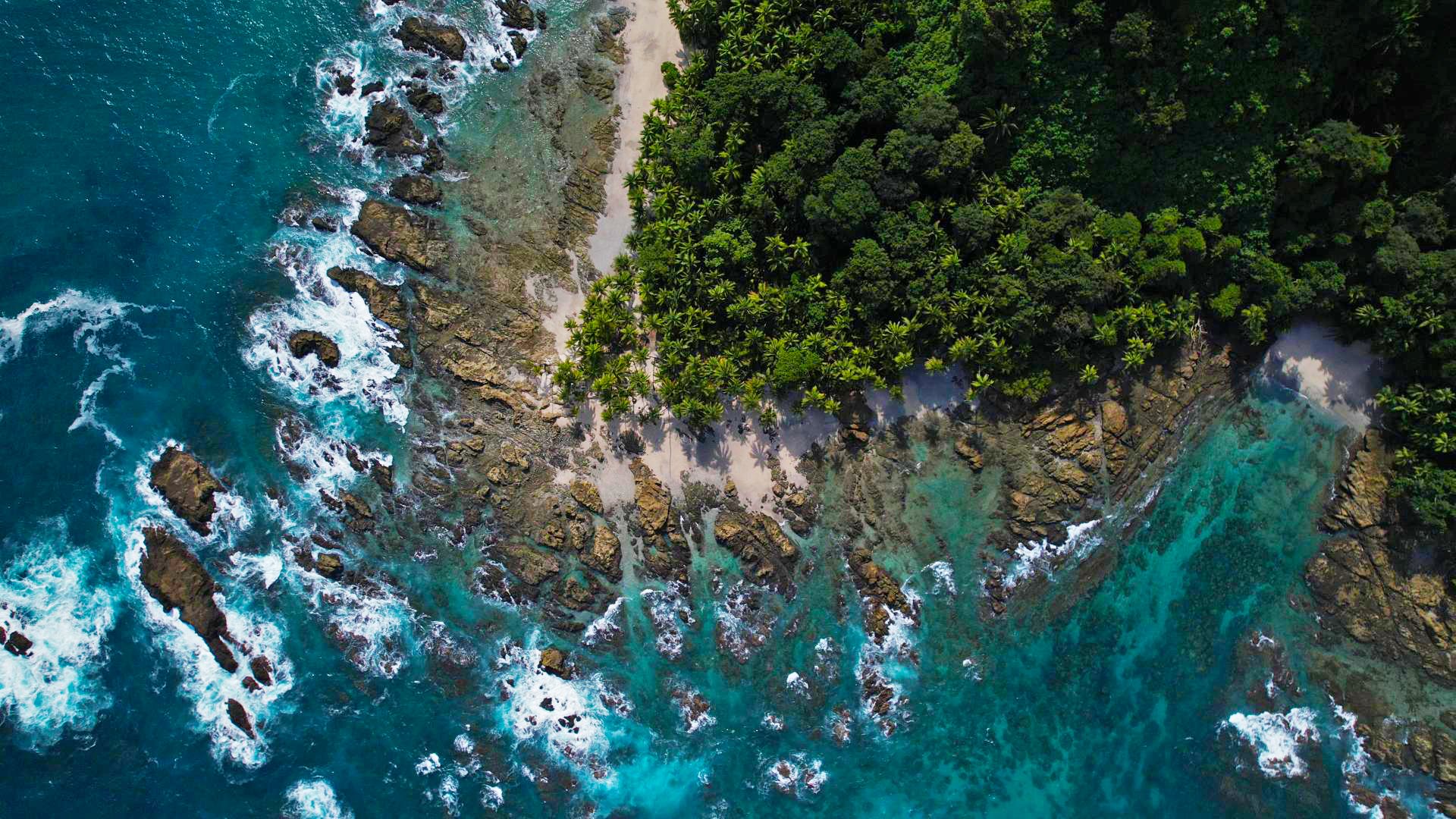 Aerial view of a tropical island shoreline where forest, reef and ocean meet
